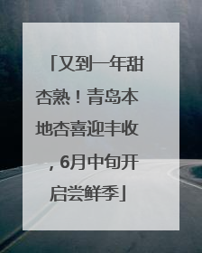 又到一年甜杏熟！青岛本地杏喜迎丰收，6月中旬开启尝鲜季