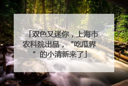 双色又迷你，上海市农科院出品，“吃瓜界”的小清新来了