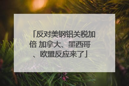 反对美钢铝关税加倍 加拿大、墨西哥、欧盟反应来了
