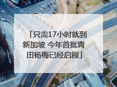 只需17小时就到新加坡 今年首批青田杨梅已经启程