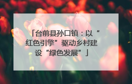 台前县孙口镇：以“红色引擎”驱动乡村建设“绿色发展”
