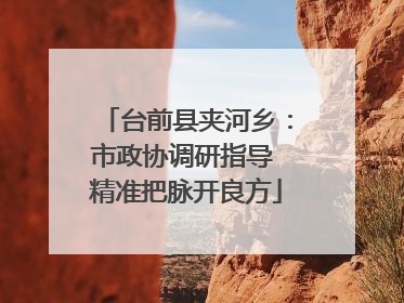 台前县夹河乡：市政协调研指导 精准把脉开良方
