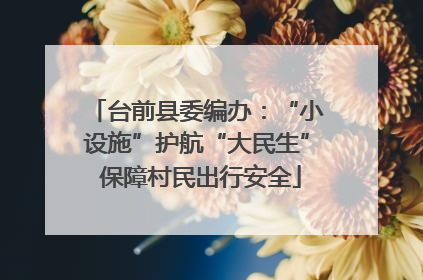 台前县委编办：“小设施”护航“大民生” 保障村民出行安全