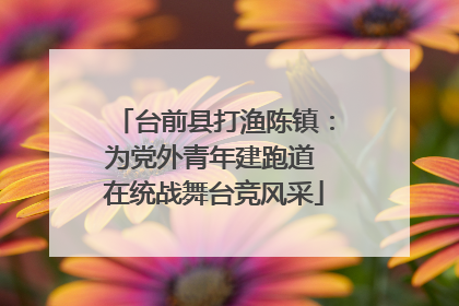 台前县打渔陈镇：为党外青年建跑道 在统战舞台竞风采