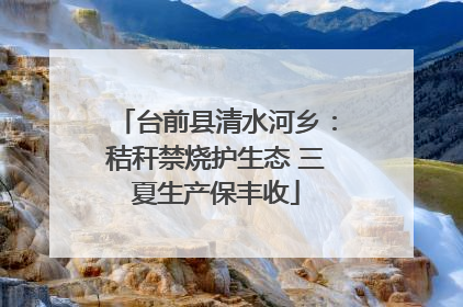 台前县清水河乡：秸秆禁烧护生态 三夏生产保丰收