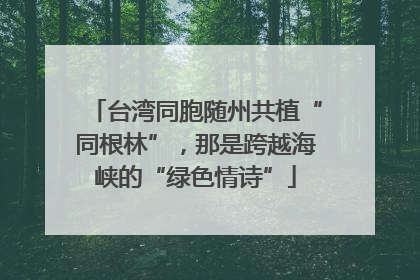 台湾同胞随州共植“同根林”，那是跨越海峡的“绿色情诗”