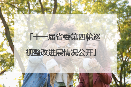 十一届省委第四轮巡视整改进展情况公开