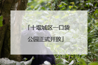 十堰城区一口袋公园正式开放