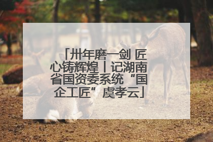 卅年磨一剑 匠心铸辉煌丨记湖南省国资委系统“国企工匠”虞孝云