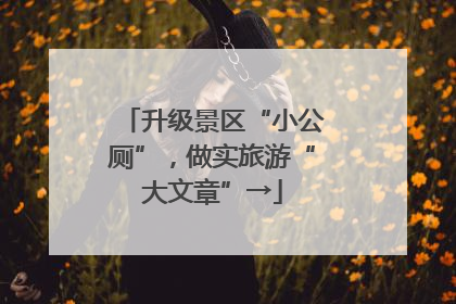 升级景区“小公厕”，做实旅游“大文章”→