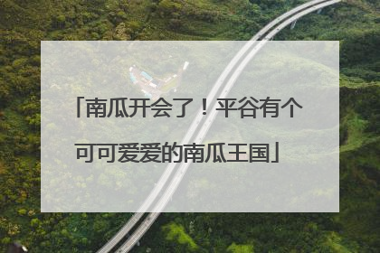 南瓜开会了！平谷有个可可爱爱的南瓜王国