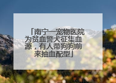 南宁一宠物医院为贫血警犬征集血源，有人带狗狗前来抽血配型