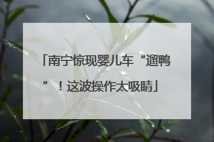 南宁惊现婴儿车“遛鸭”！这波操作太吸睛