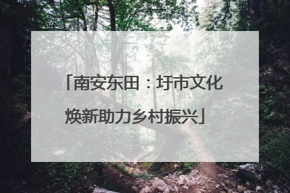 南安东田：圩市文化焕新助力乡村振兴
