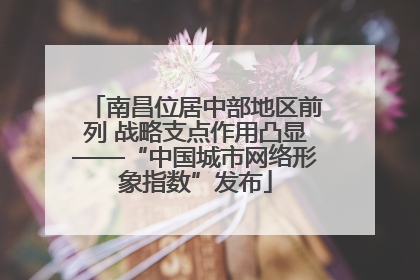 南昌位居中部地区前列 战略支点作用凸显——“中国城市网络形象指数”发布