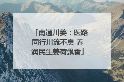 南通川姜：医路同行川流不息 养润民生姜荷飘香