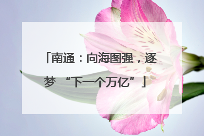 南通：向海图强，逐梦 “下一个万亿”