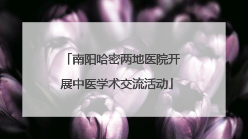 南阳哈密两地医院开展中医学术交流活动