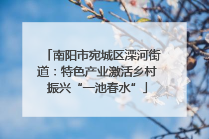 南阳市宛城区溧河街道：特色产业激活乡村振兴“一池春水”