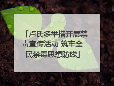 卢氏多举措开展禁毒宣传活动 筑牢全民禁毒思想防线