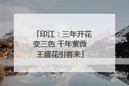 印江：三年开花变三色 千年紫薇王盛花引客来