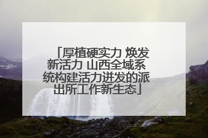 厚植硬实力 焕发新活力 山西全域系统构建活力迸发的派出所工作新生态