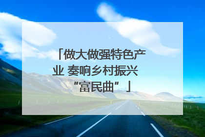 做大做强特色产业 奏响乡村振兴“富民曲”