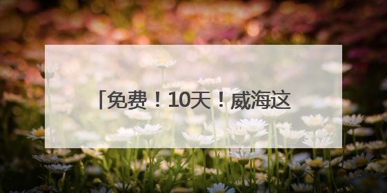 免费！10天！威海这片宝藏海湾放大招！