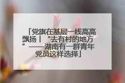 党旗在基层一线高高飘扬丨“去有村的地方”——湖南有一群青年党员这样选择