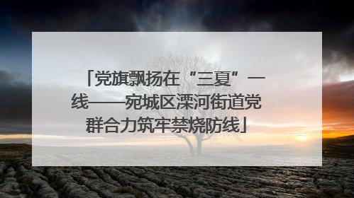党旗飘扬在“三夏”一线——宛城区溧河街道党群合力筑牢禁烧防线