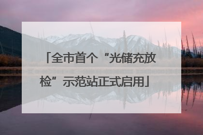 全市首个“光储充放检”示范站正式启用