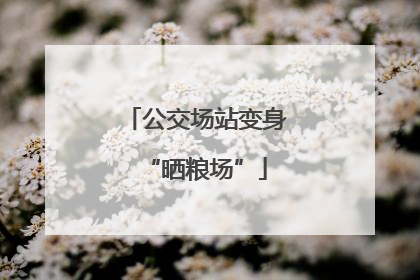 公交场站变身“晒粮场”