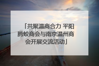 共聚温商合力 平阳腾蛟商会与南京温州商会开展交流活动