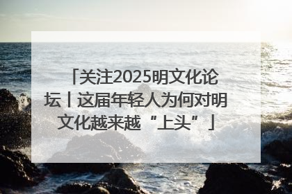关注2025明文化论坛丨这届年轻人为何对明文化越来越“上头”