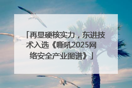 再显硬核实力，东进技术入选《嘶吼2025网络安全产业图谱》