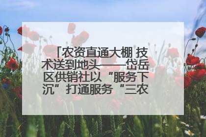农资直通大棚 技术送到地头——岱岳区供销社以“服务下沉”打通服务“三农”最后一公里