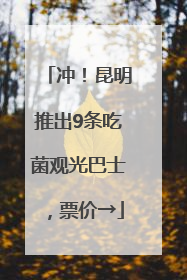冲！昆明推出9条吃菌观光巴士，票价→