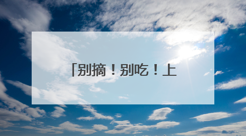别摘！别吃！上海街头大量出现“红果果”，很多人忍不住了……