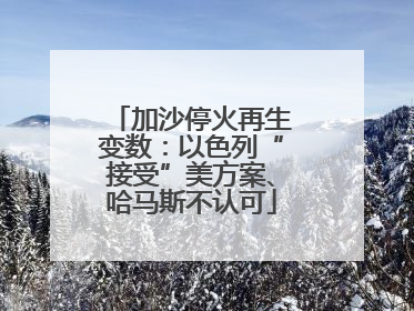 加沙停火再生变数：以色列“接受”美方案、哈马斯不认可