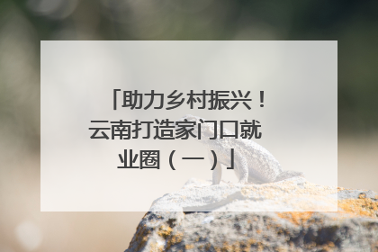 助力乡村振兴！云南打造家门口就业圈（一）