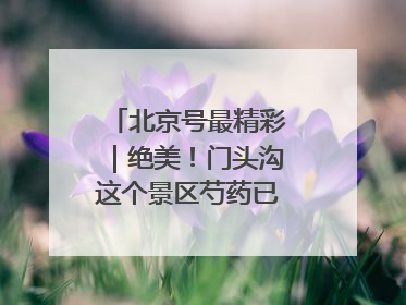 北京号最精彩｜绝美！门头沟这个景区芍药已花开成海