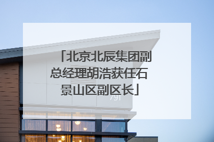 北京北辰集团副总经理胡浩获任石景山区副区长