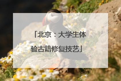 北京：大学生体验古籍修复技艺