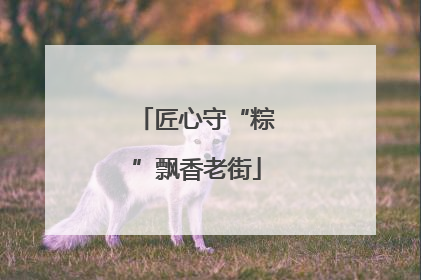 匠心守“粽”飘香老街