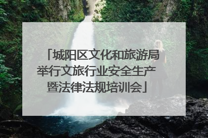 城阳区文化和旅游局举行文旅行业安全生产暨法律法规培训会