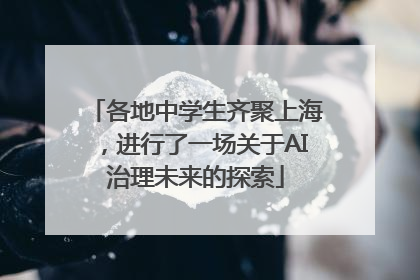 各地中学生齐聚上海，进行了一场关于AI治理未来的探索