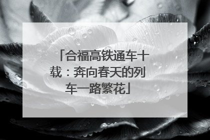 合福高铁通车十载：奔向春天的列车一路繁花