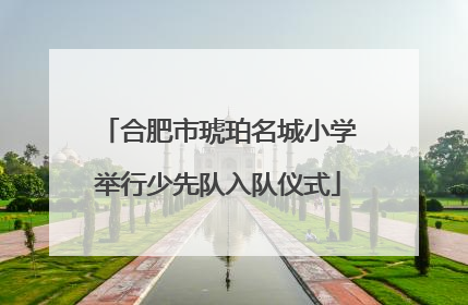 合肥市琥珀名城小学举行少先队入队仪式