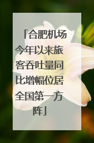 合肥机场今年以来旅客吞吐量同比增幅位居全国第一方阵