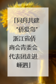 同舟共建“侨爱岛” 浙江省侨商会青委会代表团走进嵊泗